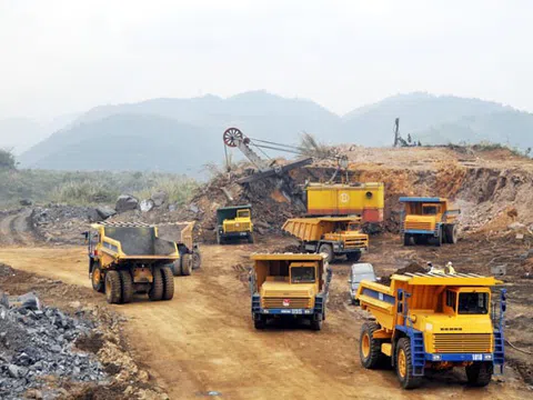 Chỉ đào vàng lên bán mà cũng thua lỗ