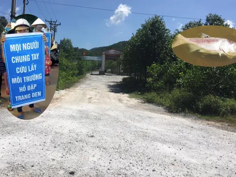 Trại lợn ô nhiễm trong thời gian dài, hàng trăm người dân kéo ra phản đối