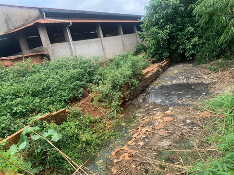 Dân "kêu trời" vì lò mổ nằm trong khu dân cư bốc mùi hôi thối