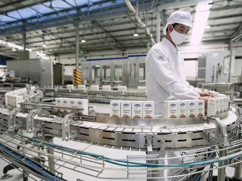 Thương hiệu trị giá hơn 2,4 tỉ USD, Vinamilk dẫn đầu ngành thực phẩm đồ uống