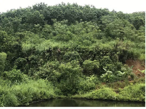 Bản Phiệt – Lào Cai: Cấp đất sai quy trình, chính quyền ém “sổ đỏ” của dân