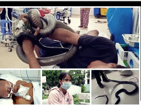 Gia cảnh khó khăn của người đàn ông liều mạng bắt rắn mưu sinh