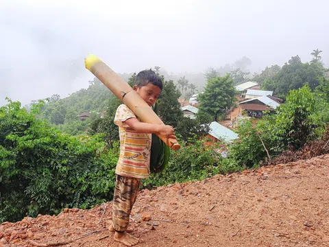 Cậu bé vác măng rừng đi ủng hộ chống dịch nhận món quà bất ngờ