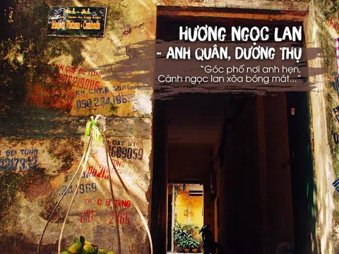Hà Nội - Những khúc ca về mùa lá đổ