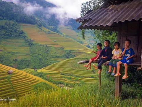 Say đắm trước ruộng bậc thang chín hút tầm mắt ở Mù Cang Chải
