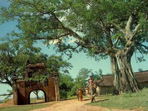 Ðường về quê ngoại