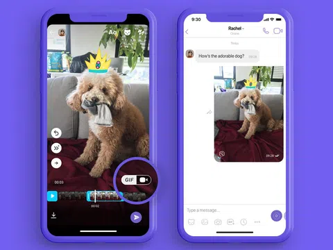 Rakuten Viber đã hoạt động như thế nào  trong bối cảnh nửa đầu năm 2020 đầy biến động?