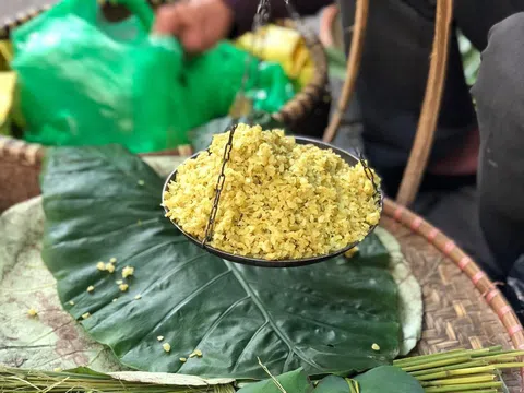 Những “đặc sản” mùa thu Hà Nội gợi nhớ cả một trời tuổi thơ