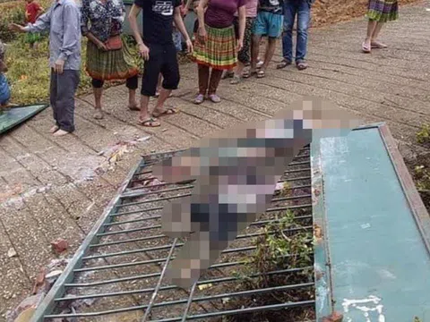 Hiệu trưởng nói về vụ cổng đổ khiến 3 học sinh tử vong