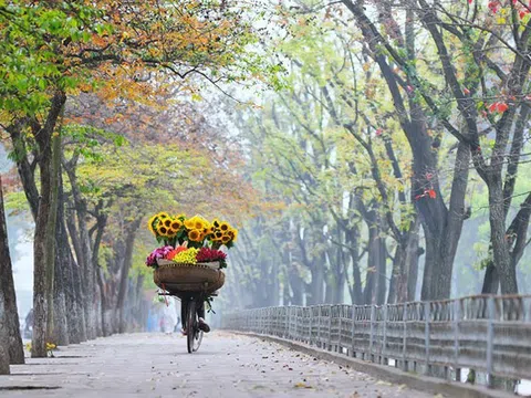Những khoảnh khắc Hà Nội mùa thu rất "tình" làm xao động hồn du khách