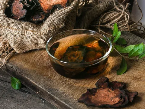 Hà Thủ Ô: Thần dược cho người tóc bạc sớm nhưng “sai một li đi một dặm”