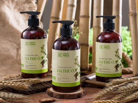 Tác hại nghiêm trọng của dầu gội công nghiệp hóa chất mà có thể bạn chưa biết đến. Nên dùng dầu gội gì để đảm bảo hiệu quả, an toàn?