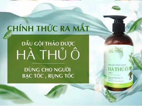 Các loại thảo dược nào thường có trong dầu gội? Vì sao nên dùng dầu gội thảo dược?