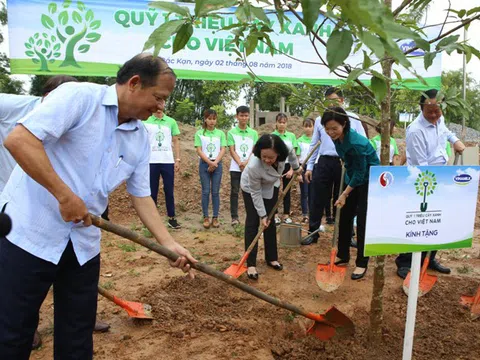 Vinamilk chung tay cùng người dân vừa trồng cây gây rừng, vừa tạo sinh kế