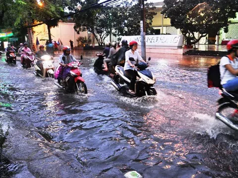 Áp thấp đang đổ bộ Nam Trung Bộ, nhiều nơi mưa rất to
