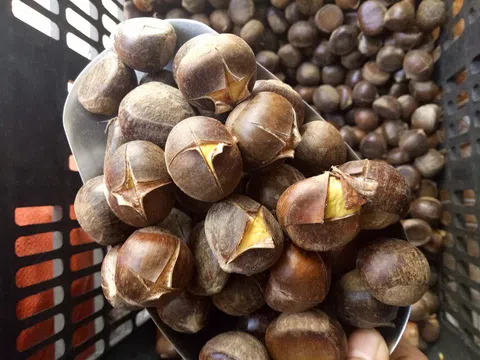 Hà Nội vào đông, tiểu thương đếm tiền mỏi tay nhờ bán loại hạt “vạn người mê”