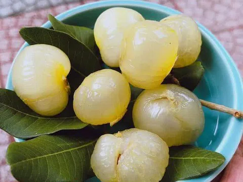 Loại nhãn lạ, giá cao gấp 5 lần nhãn thường vẫn được săn lùng