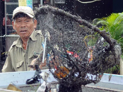 Người thương binh mỗi ngày vớt hàng trăm kg rác "giải cứu" dòng kênh