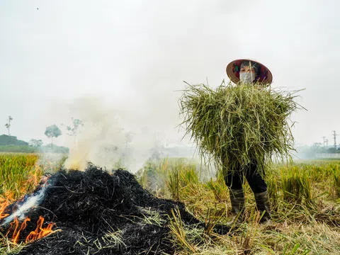Cảnh đốt rơm rạ khiến Hà Nội mịt mù trong khói