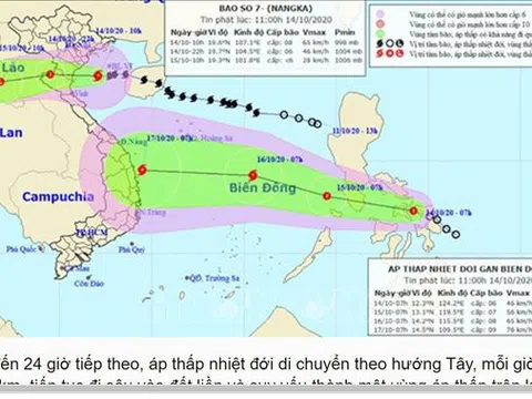 Áp thấp nhiệt đới mới có khả năng mạnh lên thành bão số 8