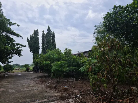 Bà Rịa- Vũng Tàu:  Cần sớm giải quyết dứt điểm quyền lợi cho dân