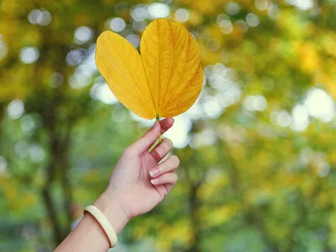 Nắng thu về qua phố