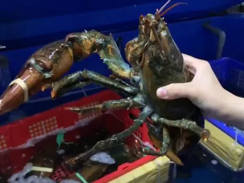 Chị em nội trợ Hà thành lùng mua hải sản không còn nguyên vẹn