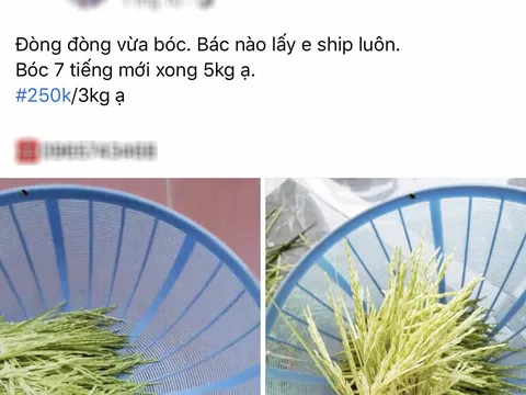 Đòng đòng là thứ gì mà người mua thì hỏi tới tấp, người bán thì bán mỗi ngày cả tạ?