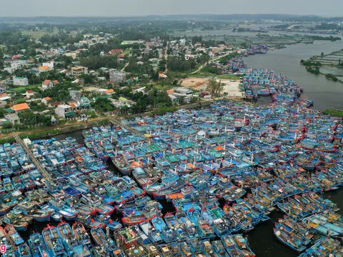 Cảng Sa Kỳ chật cứng tàu neo đậu tránh bão