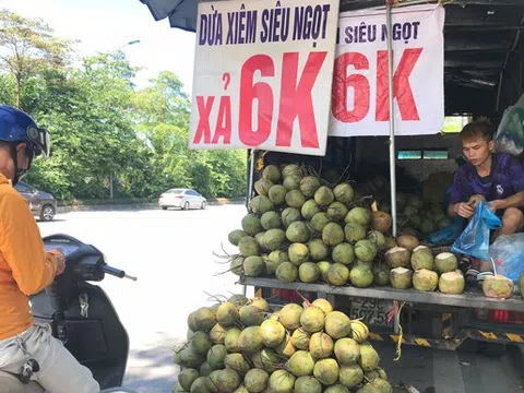Hà Nội: Dừa xiêm bán “giá rẻ như cho”, người bán tiết lộ nguyên nhân