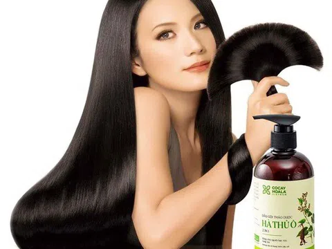 Chăm sóc tóc bằng hà thủ ô nên gội hay uống để hiệu quả, an toàn