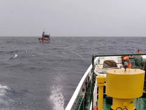 Bình Đình: 3 trong số 26 ngư dân vụ chìm tàu được cứu sống