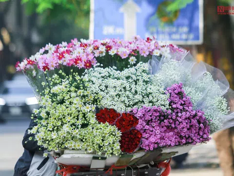 Sắc hoa đầu đông trên phố