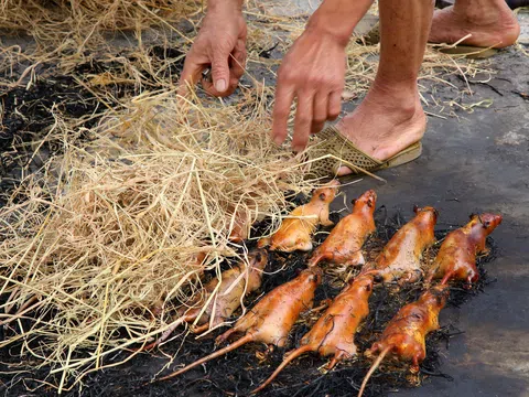 Món thịt chuột đặc sản của người làng Giống