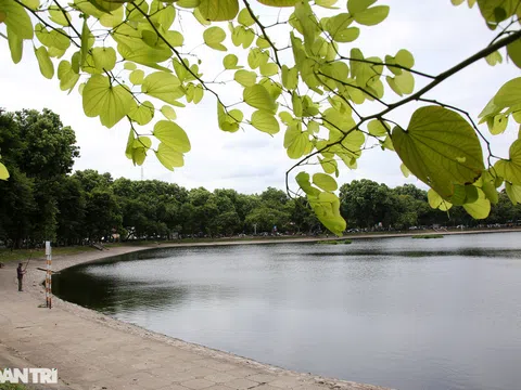 Cảnh sắc Hà Nội trong veo, đẹp nao lòng ngày se lạnh