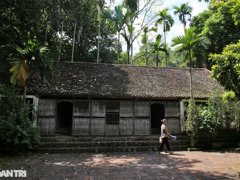 Cánh dại tre độc đáo trong nếp nhà xưa ở nông thôn miền Bắc