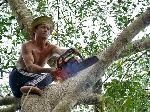 'Vua khỉ' miền Tây