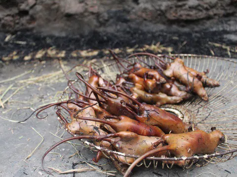 Điều kỳ lạ ở ngôi làng nghiện ăn thịt chuột