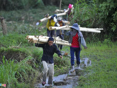 Người dân Quảng Ngãi bán tháo keo non sau bão số 9