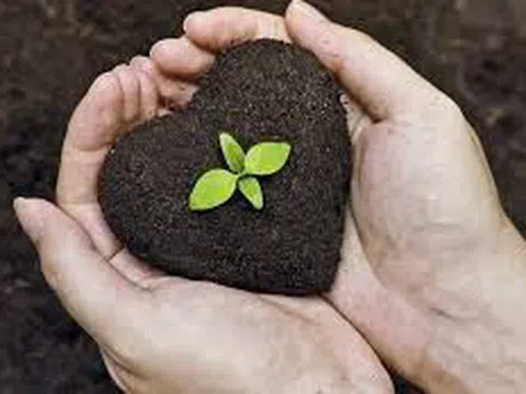 Sức khỏe của đất đang trong tình trạng phải... đi cấp cứu!