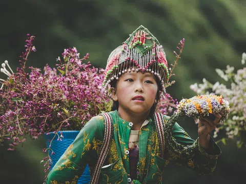 'Phát triển thiếu bền vững, Sa Pa đang mất dần vẻ đẹp vượt thời gian'