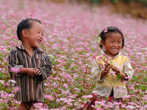 Ngỡ ngàng vẻ đẹp mùa đông về trên cao nguyên đá Hà Giang