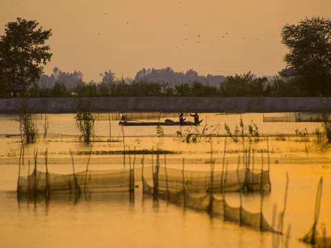 Cảnh đời người miền Tây mùa nước nổi