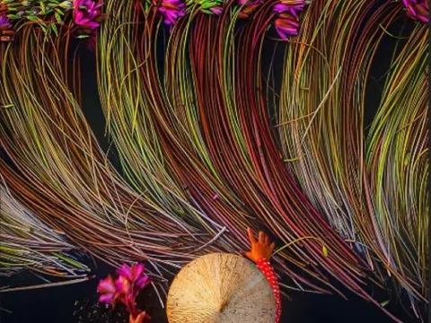 Vẻ đẹp vùng miền của Việt Nam