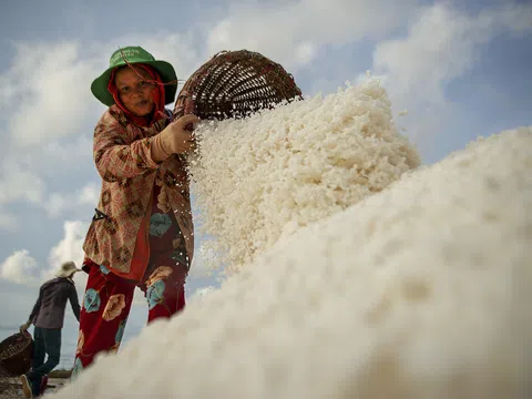 Nhọc nhằn trên cánh đồng muối lớn nhất miền Tây