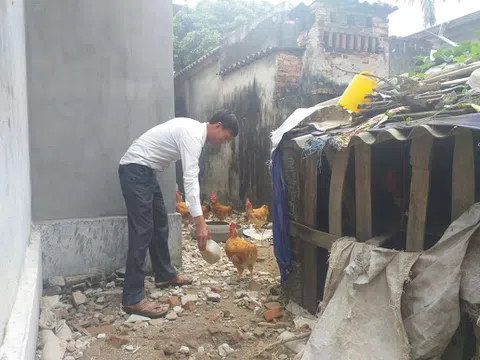 Đồng Minh (Vĩnh Bảo – Hải Phòng): Cần sớm chi trả tiền hỗ trợ thiệt hại gia cầm cho người dân