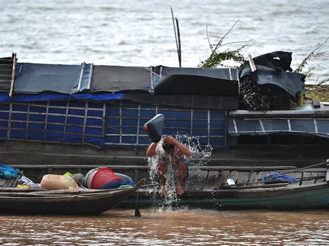Lũ về sau cơn khát, người dân miền Tây vội vã vào cuộc mưu sinh