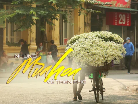Những mùa hoa về trên phố