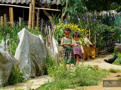 Bản Cu Vai: Về nơi mây vắt ngang trời