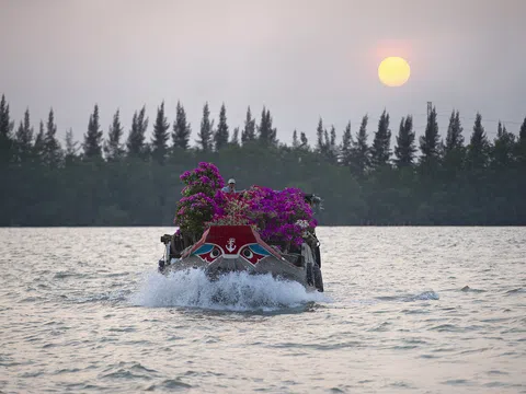 Người dân miền Tây lênh đênh hàng trăm km mang hoa ra chợ Tết